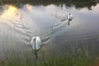 Image de Cozy Tiny House near Lake Maggiore & Milan-Malpensa Airport