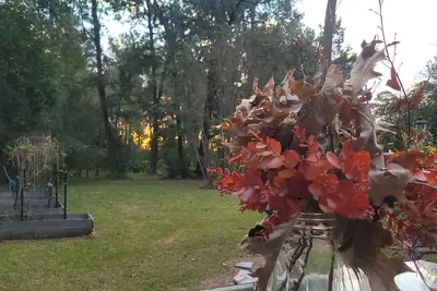 Image de English Cottage Retreat