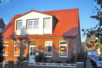 Image de Island star