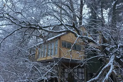 Image de Secluded Magic Treehouse Escape; Hudson, Ny.