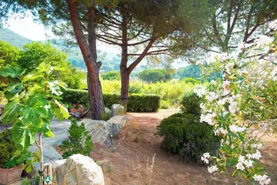 Image de Green Oasis Elba- outdoor privacy & walk to the beach- privacy, greenery and the sea