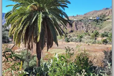 Image de Rural house Rosiana. Genuine Canarian country house