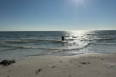 Image de Pet friendly Rv in resort near beaches. Outdoor living+high-speed internet. Pool