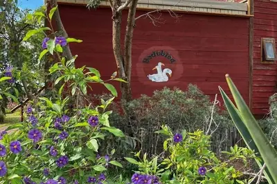 Image de Cabane Sunset 5 pers dans domaine privé et piscine