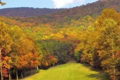 Image de Family Retreat-Creek-Blackstone-Dog & baby gear.