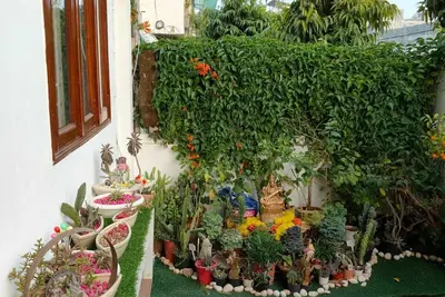 Image de Modern Family Stay with Garden