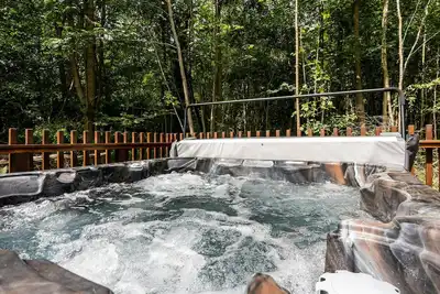Image de Glentress Forest Silver Birch, Peebles