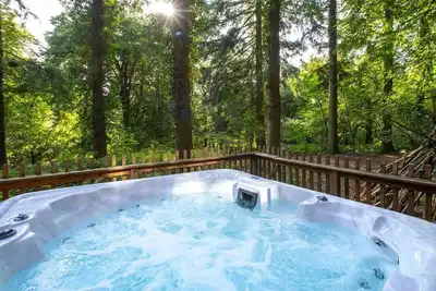 Image de Glentress Forest Golden Oak Valley View, Peebles