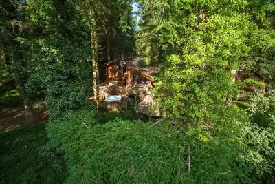 Image de Glentress Forest Golden Oak Treehouse, Peebles