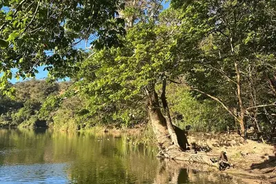 Image de Mother Silk House