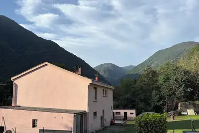 Image de Le cocon d’olicleon