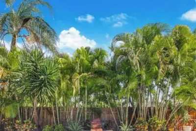 Casa Aloha | Tropical Pool | Beach 9 mins | Games