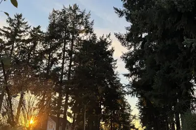 Image de Relax in this beautifully remodeled apartment that blends comfort and style.