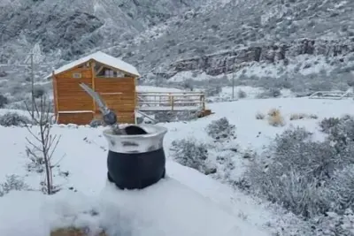 Image de Cabane de Racines de Montagne
