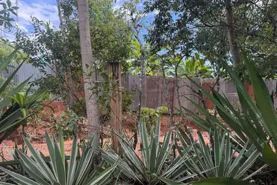 Image de Perfect 2-bedroom cabin in Tarapoto for a relaxing getaway. Stay here