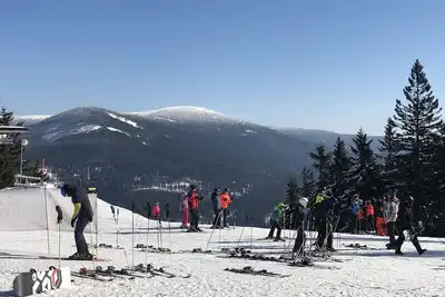 Image de Joli appartement pour 4 personnes avec Wifi, Tv, terrasse et animaux admis