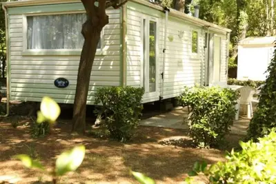 Image de Mobil-home avec terrasse - 6 pers.