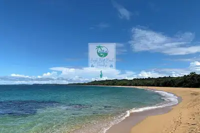Image de Jungle Bluff Beach Paradise: Nature Cottage Starlink & 2 Min to Beach Ac soon