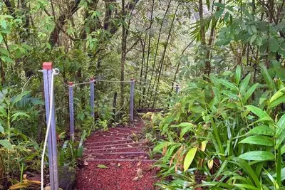 Image de Cabin immersed in nature - Private Hiking Trail - 3 Br - Fireplace - Peaceful