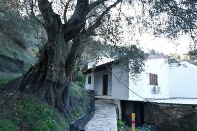 Image de Chania Hillside 2bd Home – Nature & Comfort by ΜΡS