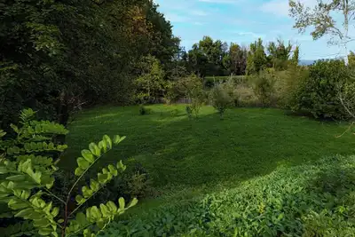 Image de Dog-friendly vacation home - 446 Rou