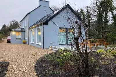 Willow, Clifden, Connemara