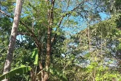 Image de Cozy 2-bedroom apartment by the river with nature views