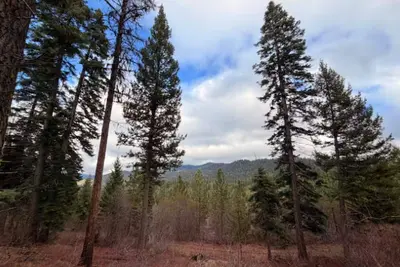 Image de Bear Basin Lodge