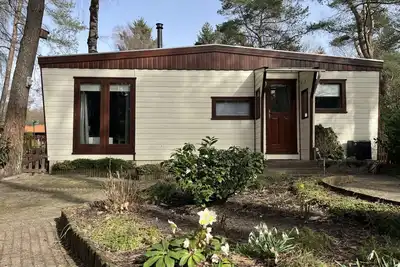 Image de Viooltje in het bos | Knus chalet op de Veluwe