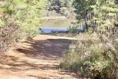 Image de Luxury Lakefront Estate- World Cup 2026- Pool, Speakeasy & Theater- Atlanta