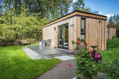 Spring Wood - Ukc6638