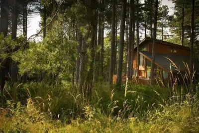 Image de Forest of Dean Woodland - Golden Oak, Coleford