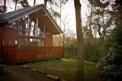 Image de Strathyre Classic Silver Birch, Ben Ledi