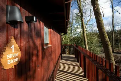 Image de Forest of Dean Woodland - Silver Birch Cabin, Coleford