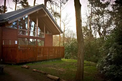 Image de Strathyre Classic Silver Birch, Callander
