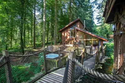 Image de Forest of Dean Woodland - Golden Oak Treehouse, Coleford