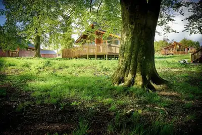 Image de Forest of Dean Meadow - Golden Oak, Coleford