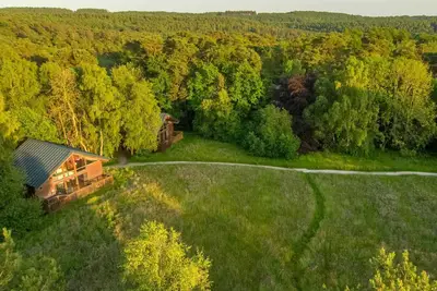 Image de Keldy Classic Silver Birch, Keldy Forest
