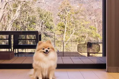 Image de Rakuten Stay Villa Hakone Gora C Pet 4 Single Ro / Ashigarashimo District Kanagawa