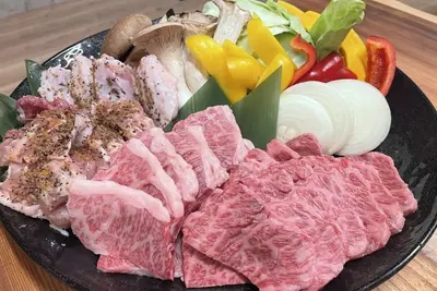 Image de DomeOpening celebration until the end of March  / Nagatoshi Yamaguchi