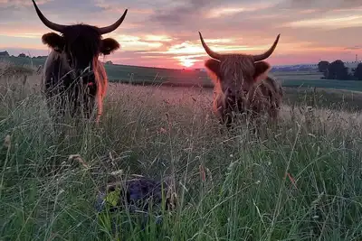 Image de Vacation apartment \"Blauregen\" - Holiday apartment, 3 bedrooms