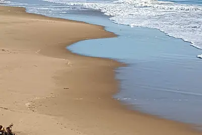 Image de Location Mobil Home 4-6 Pers sans vis à vis dans camping 4 *