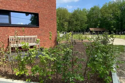 Image de Nature, calme et prairies pour chevaux.