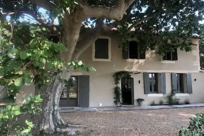 Image de \"Nouveau\" Le Mas de Ginoux à Mouriès