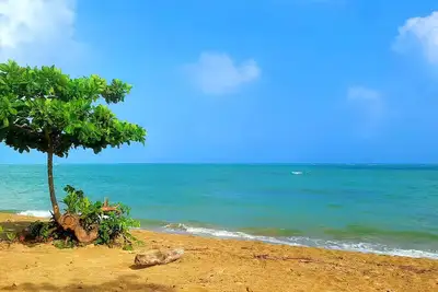 Image de Oceanfront Gem 3br/2b Pools & Private Balcony