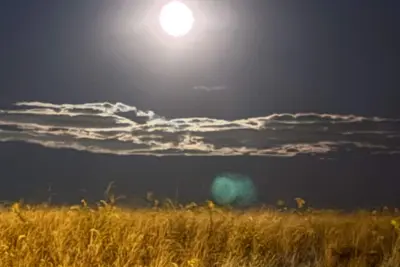 Image de 4-bedroom lovely house in serene bayside town with water views, short beach walk