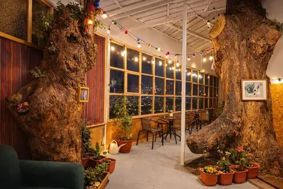 Private Panoramic Viewpoint-Apartment with natural trees