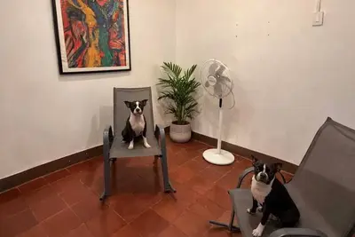 Image de Oc House: Pet Friendly with A/C and parking. Safe Zone 10 minutes from the Granada Center