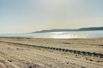 Image de Beachfront private rental on Lake Eufaula- sleeps 7 guest and pet-friendly