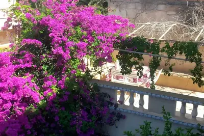 Image de Maison+appartement+piscine privée+plage